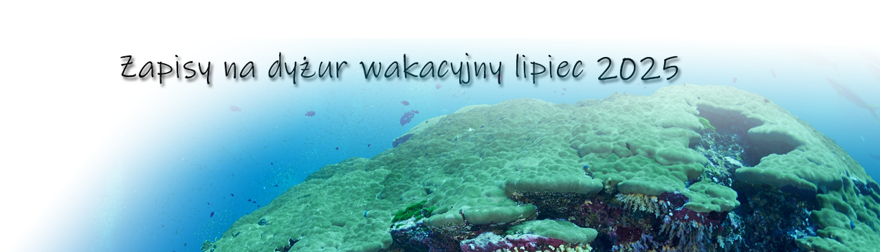 Dyżur wakacyjny liciec 2025